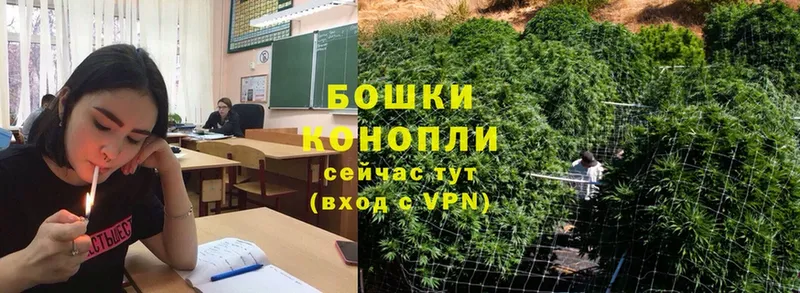 купить   Кораблино  Канабис LSD WEED 